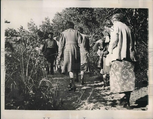 1941 Press Photo Palm Beach, Flo. tourists in the mangrove swamps - nea68280 - Historic Images