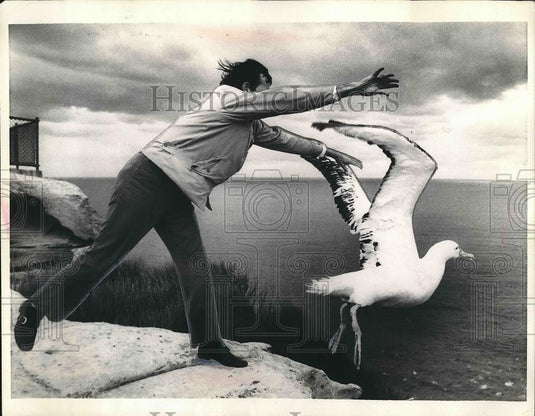 1973 Press Photo Kerry Muller of Sydney's Taronga Park Zoo Frees Alabatross - Historic Images