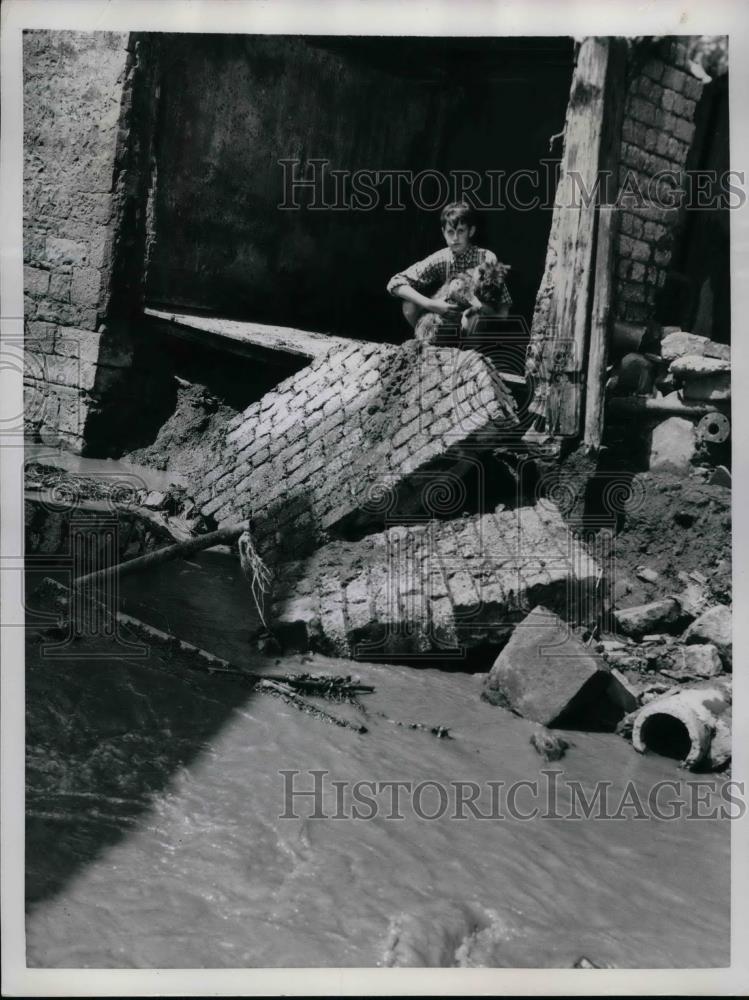 1953 Press Photo Saving a Dog after Flash Flood in Germany - nea69794 - Historic Images