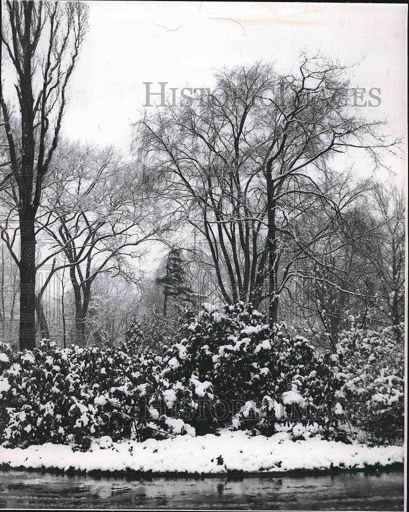 1959 Press Photo Bank of river after snowfall - nea72141 - Historic Images