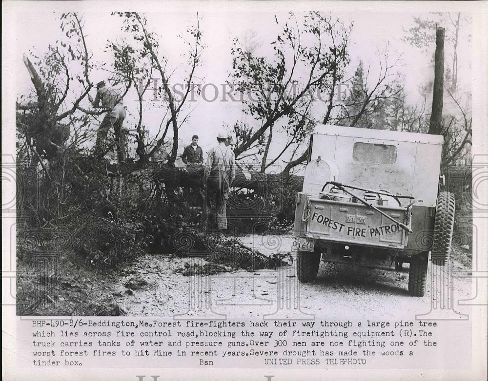 1956 Press Photo Beddington , Me. firefighters blocked by downed trees - Historic Images