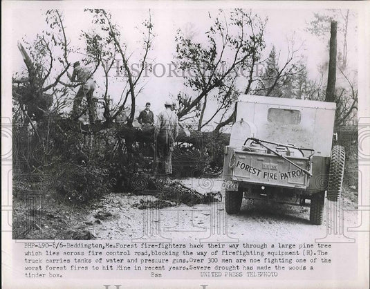 1956 Press Photo Beddington , Me. firefighters blocked by downed trees - Historic Images