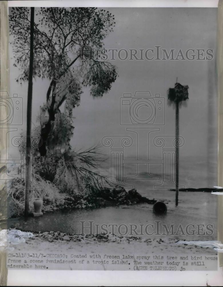 1951 Press Photo Frozen Lake Spray on Tree Chicago - Historic Images