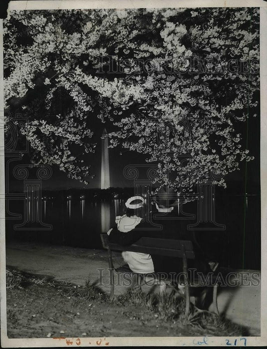 1933 Press Photo Washington D.C. Cherry Tree Blossoms Romantic Capital - Historic Images