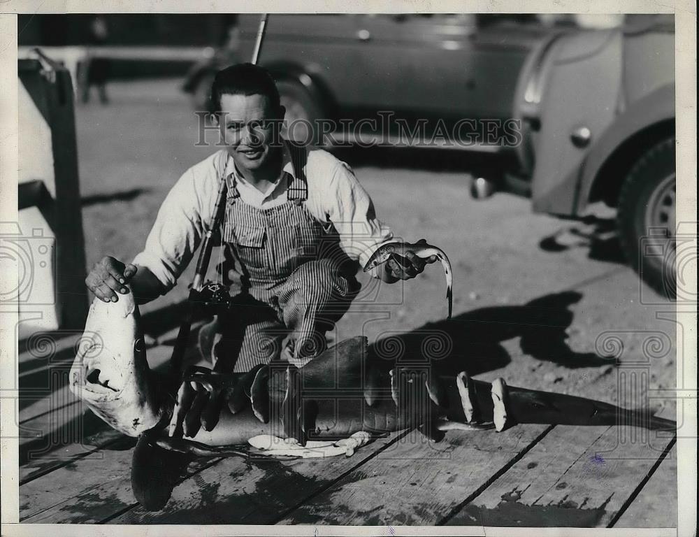 1936 Press Photo Floyd Raisty &amp; shark &amp; babies he caught in Calif. - nea79539 - Historic Images