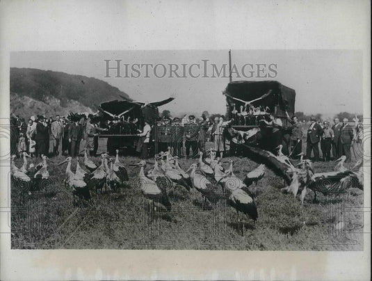 1933 Press Photo Essen Contingent Release of Storks To Determine Their Flight - Historic Images