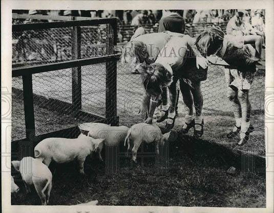 1935 Press Photo Children with pigs at London Zoo - nea82716 - Historic Images