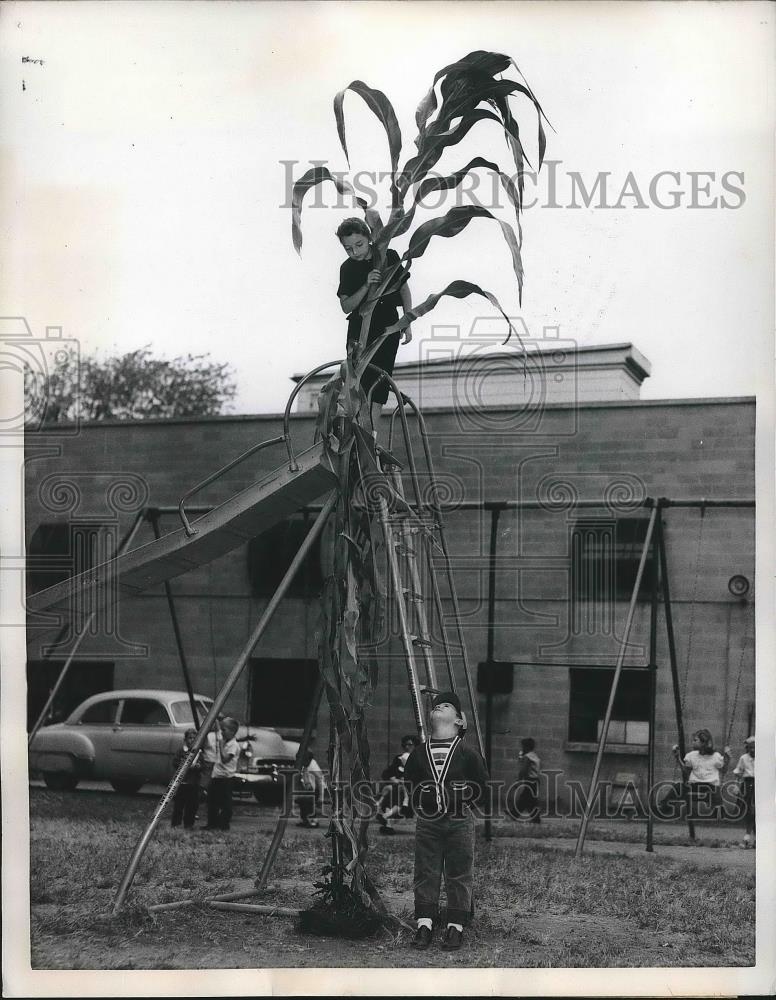 1959 Press Photo La Crosse, Kan. Nina Butts &amp; Roger Knapp with 16 ft tall corn - Historic Images