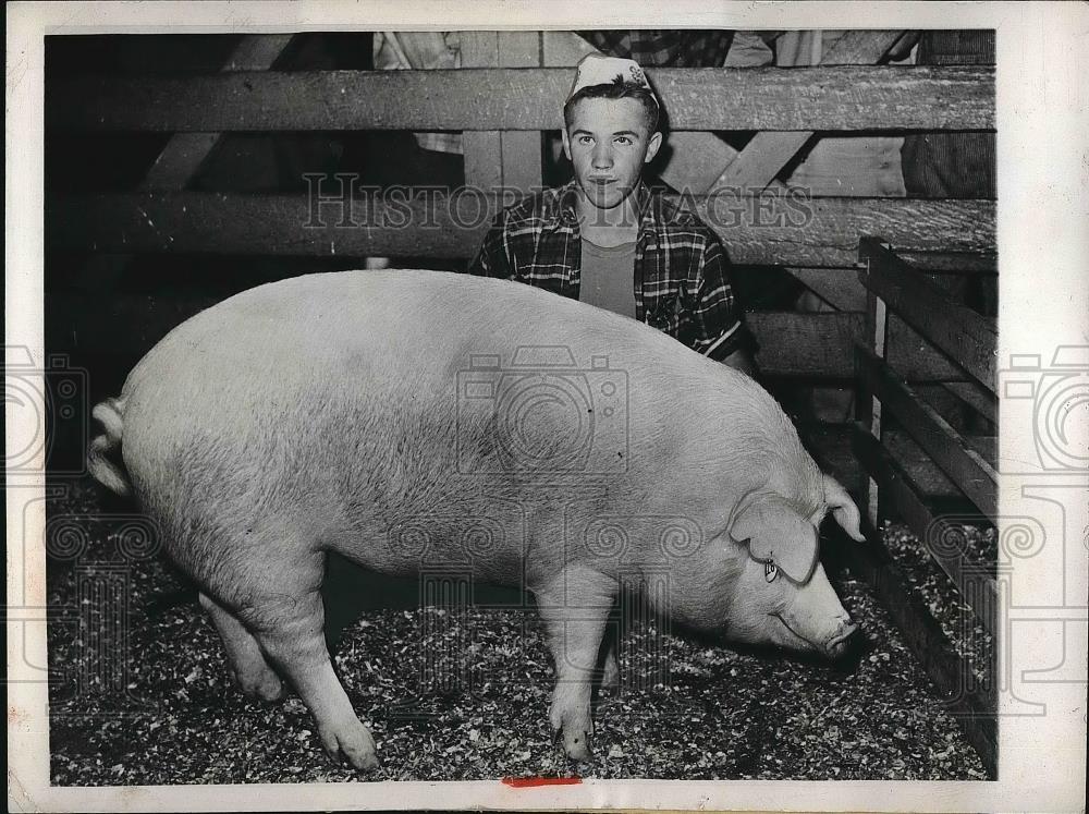 1945 Press Photo Boy with Winning Aberdeen-Angus Pig for Ak-Sar-Ben Show - Historic Images