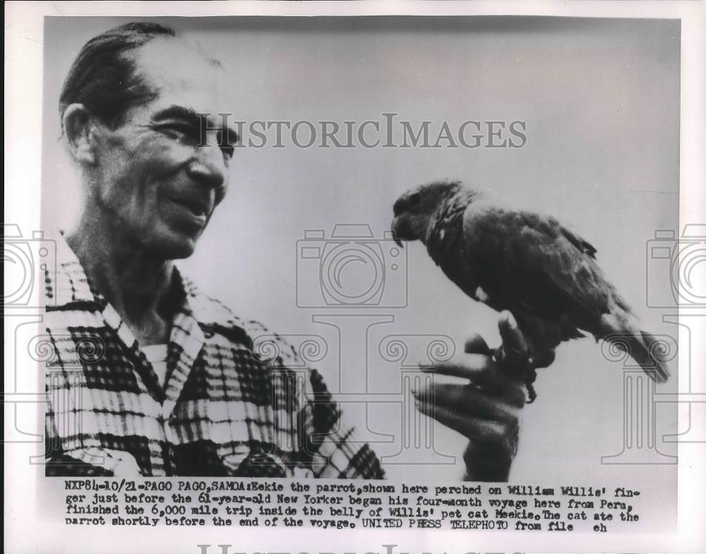1954 Press Photo Pagp Pago, Samoa William Willis &amp; a parrot - Historic Images