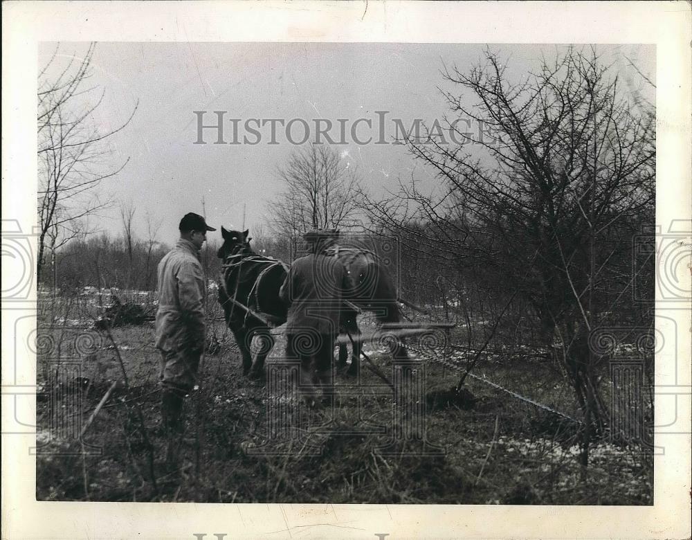 1942 Press Photo Stanley Oakley and Sam Holley working on a farm - nea89717 - Historic Images