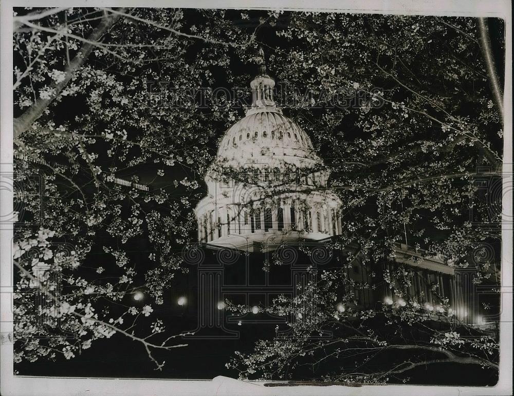1937 Press Photo United States Capitol Building Lit Up Japanese Cherry Blossoms - Historic Images
