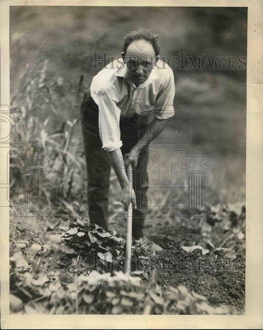 1931 Press Photo Pratt working in his garden - Historic Images