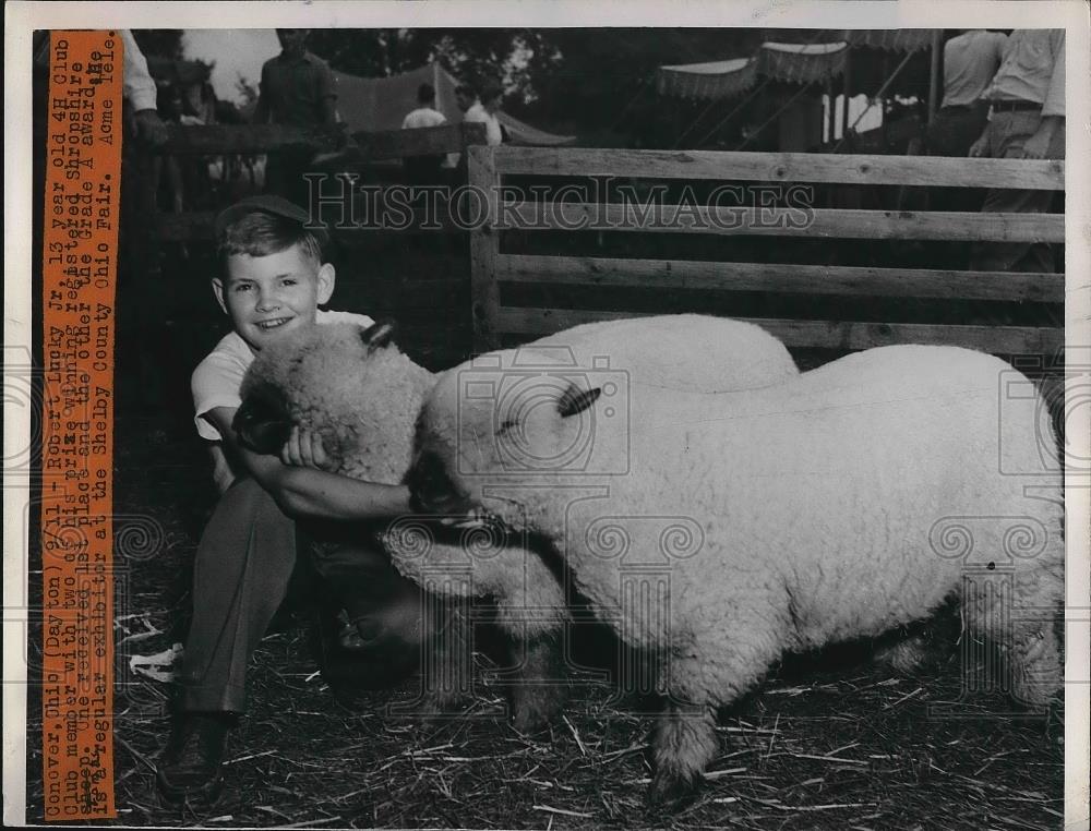 1947 Press Photo Robert Lucky Jr &amp; his 4-H club sheep - nea83571 - Historic Images