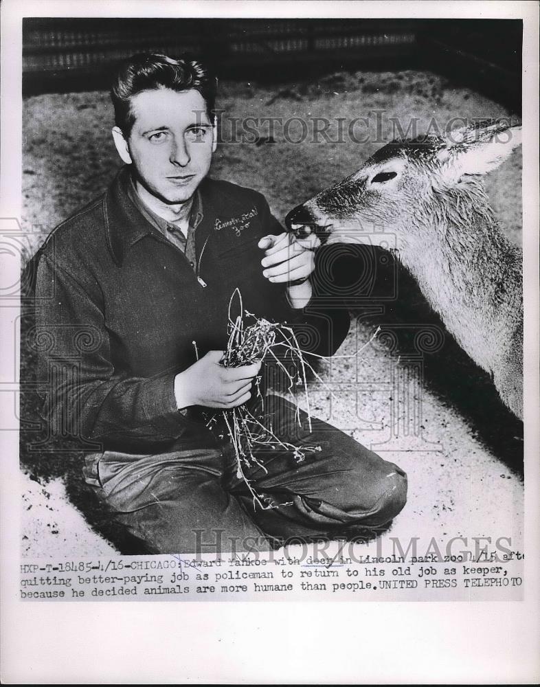 1953 Press Photo Zoo Keeper Edward Yankoe with Deer in Lincoln Park Zoo - Historic Images