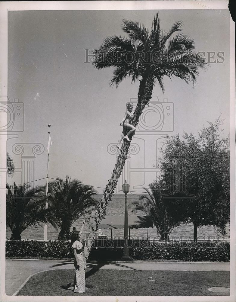 1936 Press Photo Jane Randolph up the palm tree and Barbara Blackburn at the - Historic Images