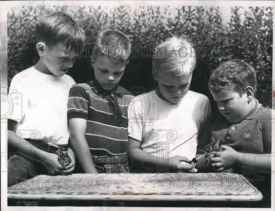 1962 Press Photo 2 adopted bunnies by 4 Euclid, OH boys fed baby formula - Historic Images