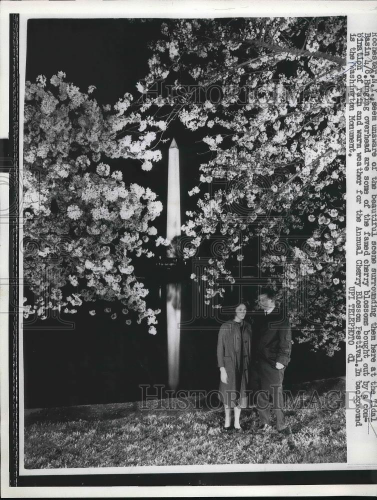 1962 Press Photo Cherry blossoms at D.C. Tidal Basin, - Historic Images