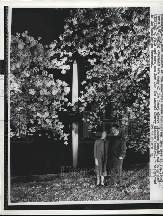 1962 Press Photo Cherry blossoms at D.C. Tidal Basin, - Historic Images