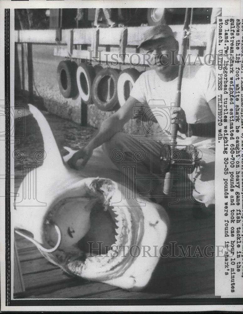 1958 Press Photo Twelve and Half Foot White Shark Caught in West Palm Beach - Historic Images