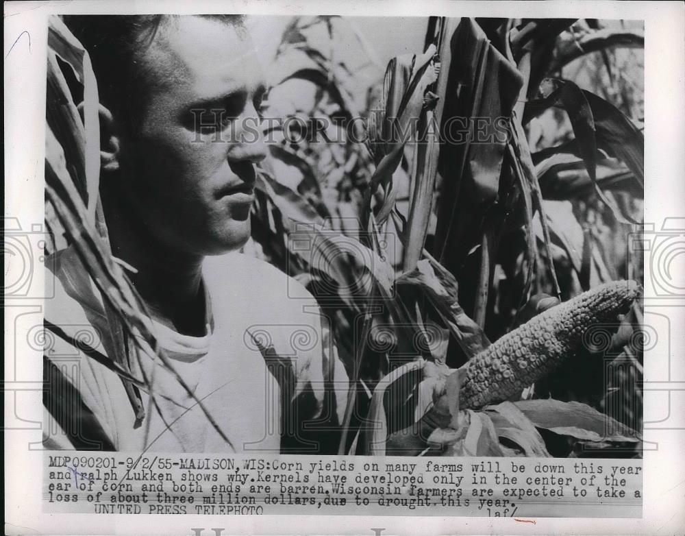 1955 Press Photo Madison,Wis.corn farmer Ralph Lukken in his fields - Historic Images