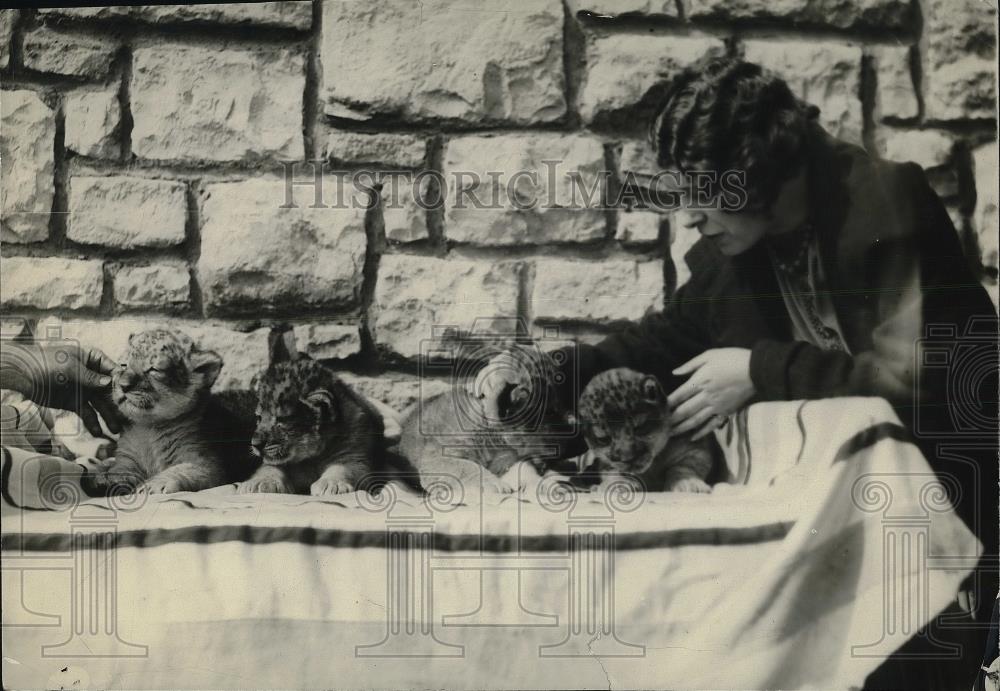 1925 Press Photo Lion cubs - Historic Images