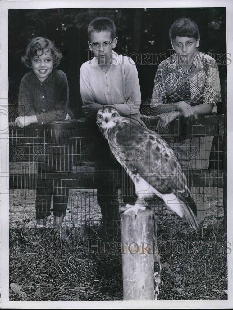 1960 Press Photo Susan Husel, B Lynch, L Harper &amp; Red tail hawk at Cleveland zoo - Historic Images