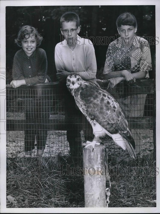 1960 Press Photo Susan Husel, B Lynch, L Harper & Red tail hawk at Cleveland zoo - Historic Images