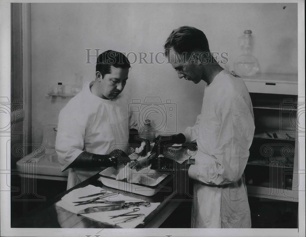 1935 Press Photo Dr. Gerwe &amp; his assistant F. Nielson dissect the spinal cord - Historic Images