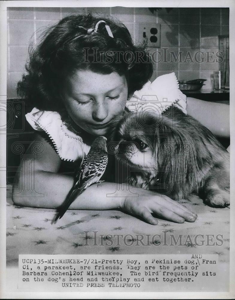 1953 Press Photo Fran Ci the parakeet & dog Pretty Boy with owner Barb Cohen - Historic Images