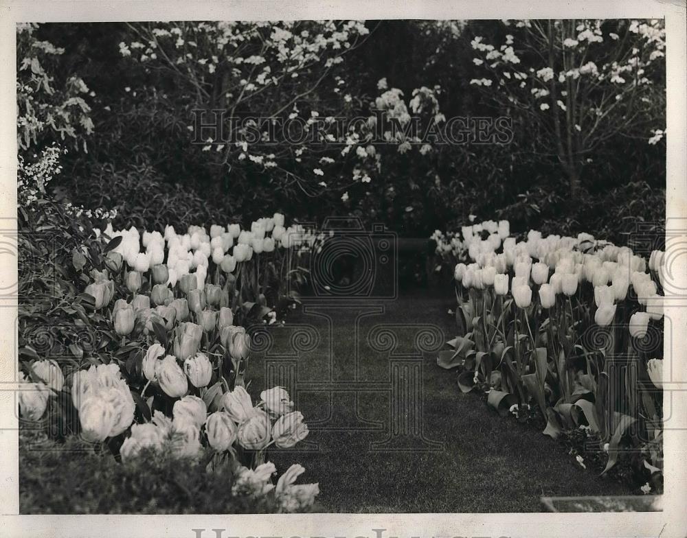 1939 Press Photo View of Mrs. Payne Whitney&#39;s Garden, International Flower Show - Historic Images