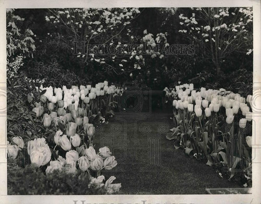 1939 Press Photo View of Mrs. Payne Whitney's Garden, International Flower Show - Historic Images