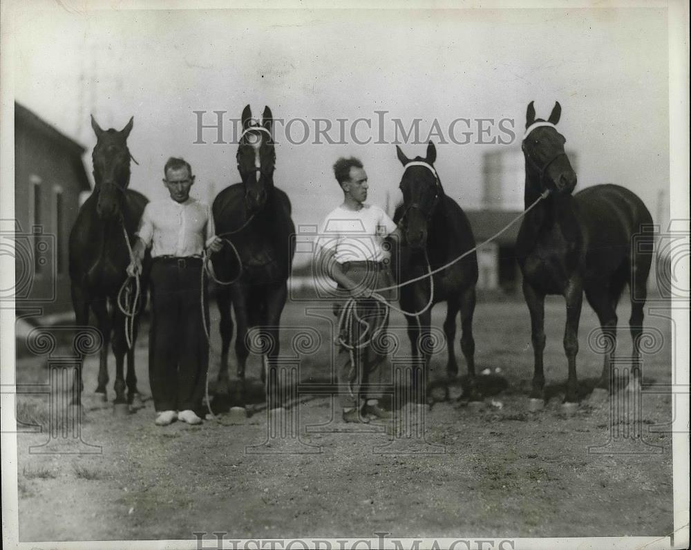 1929 Press Photo English Polo Ponies Training at Mitchell Field Charles - Historic Images