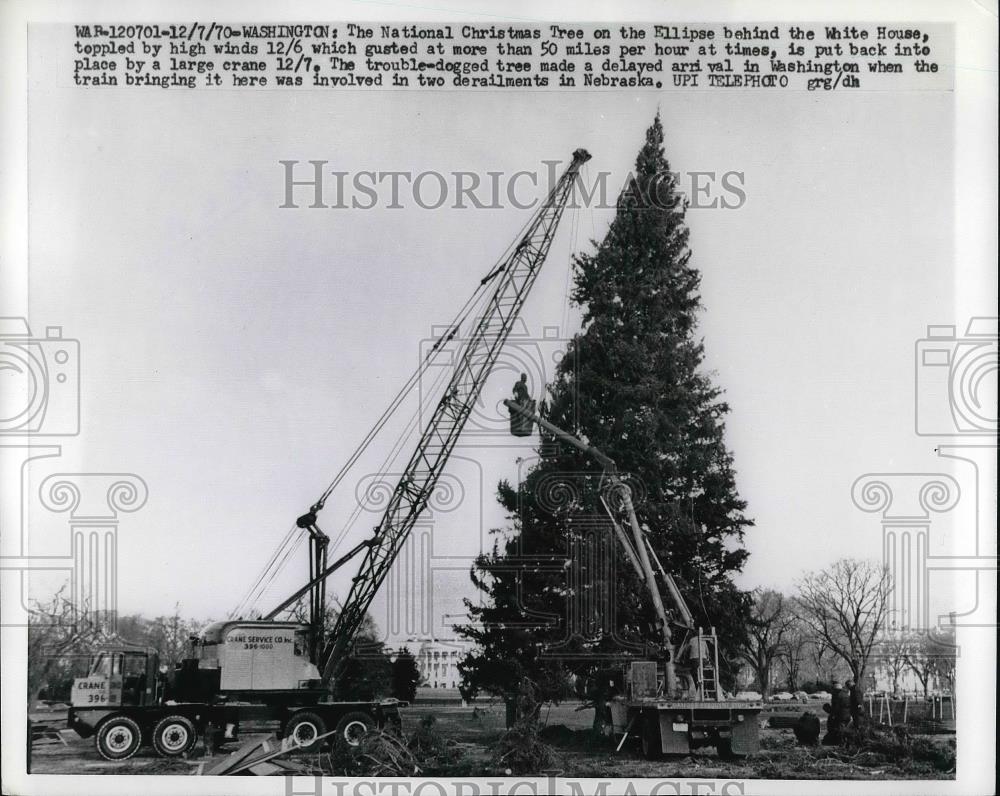 1970 Press Photo The Natl Christmas tree raised by a crane in Wash. D.C. - Historic Images
