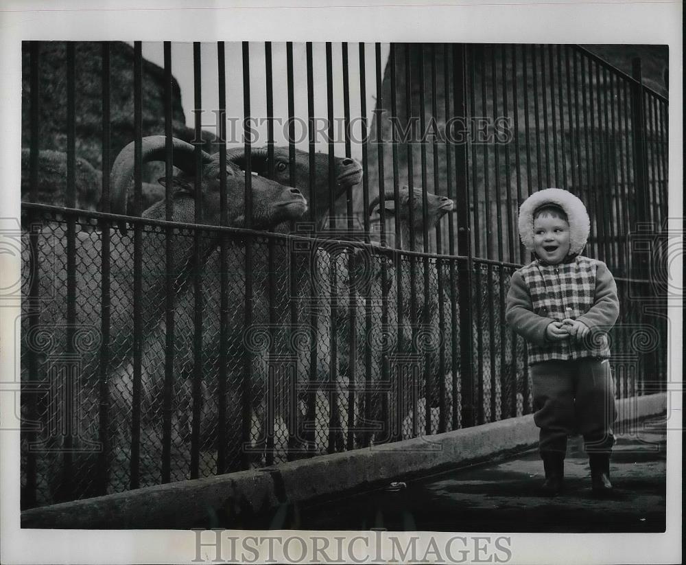 1963 Press Photo PEter Blackbrow with mountain goat at London Zoo. - Historic Images