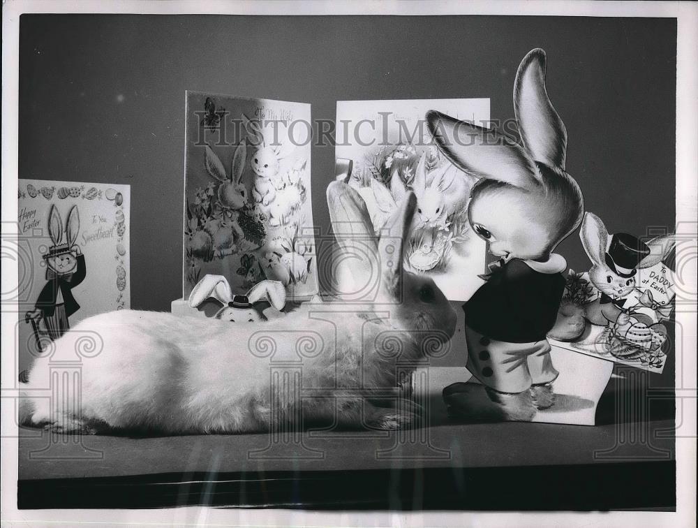 1956 Press Photo Cuddlea Rabbit Model for Hallmark - neb06857 - Historic Images