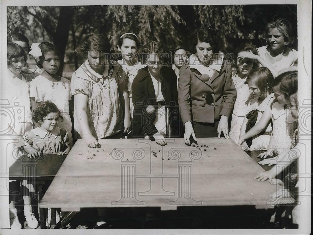 1934 Press Photo New York City Jack Championship - Historic Images