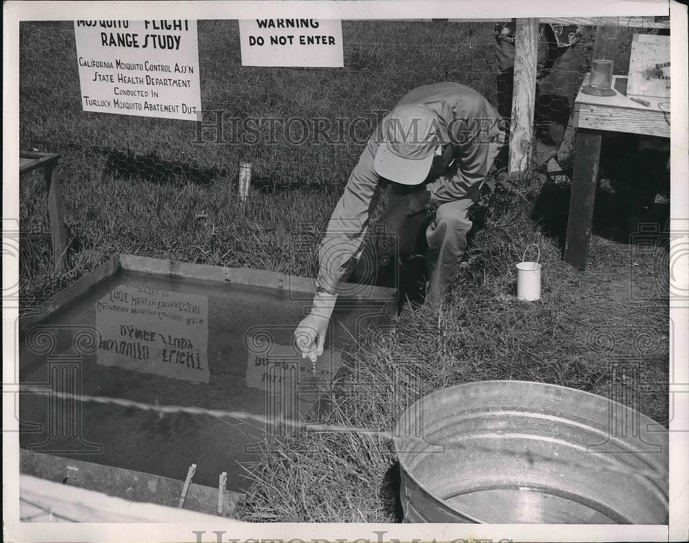 1950 Press Photo Rene Zeitner Of University Of California&#39;s Tracer Laboratory - Historic Images