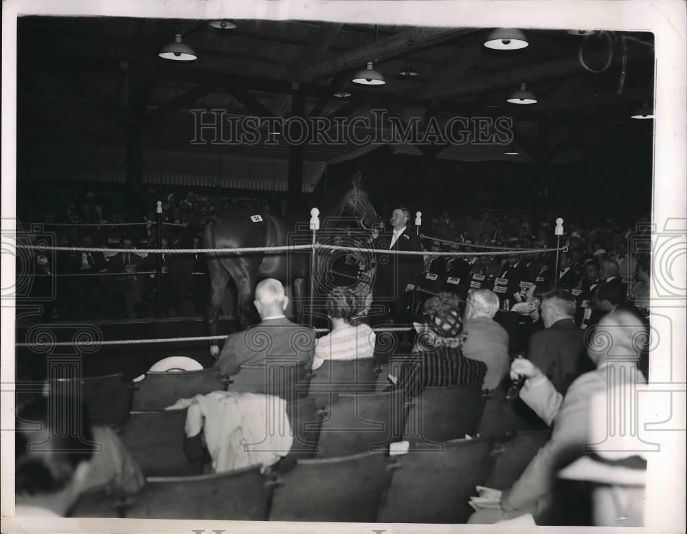 1940 Press Photo Saratoga Auctions Horses being sold - Historic Images