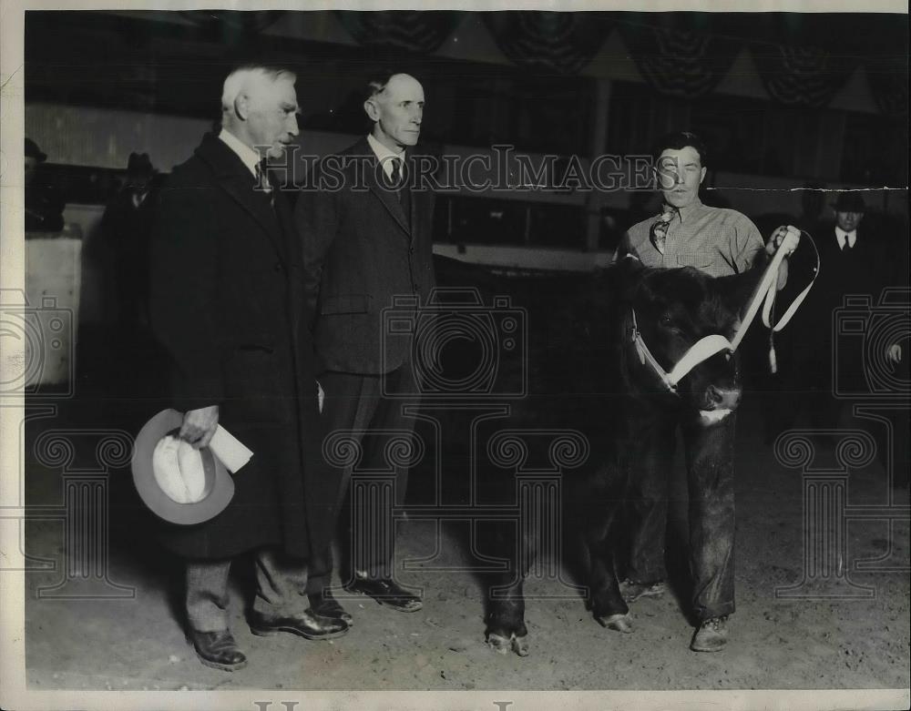 1931 Press Photo Briarcliff Thicksett Jr Yearling Owned Oakleigh Thorne - Historic Images