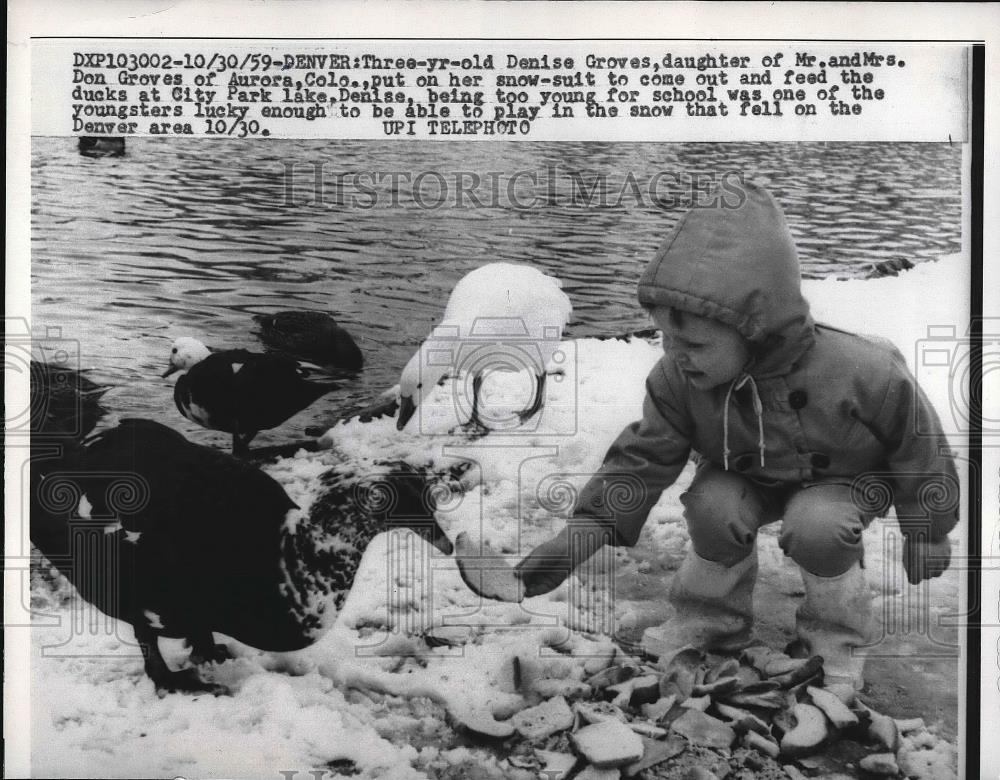 1959 Press Photo Denis Groves Age 3 with Duck - Historic Images