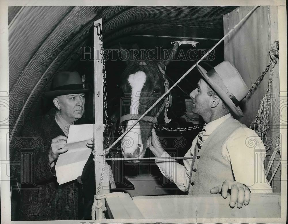 1946 Press Photo Irish Race Horse Arrives in Newark Via Plane - Historic Images