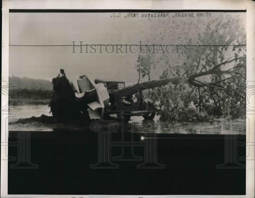 1938 Press Photo Mineola Long Island Car Crushed by Uprooted Tree by Winds - Historic Images