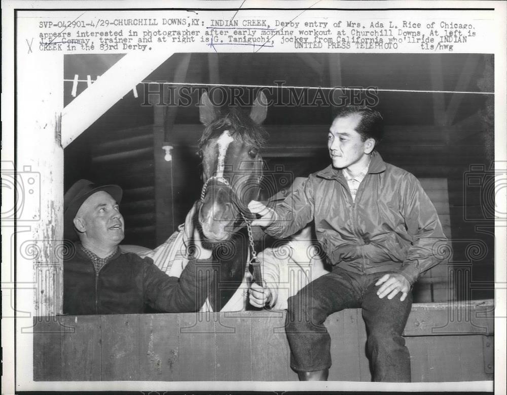 1957 Press Photo Race Horse Indian Creek - Historic Images