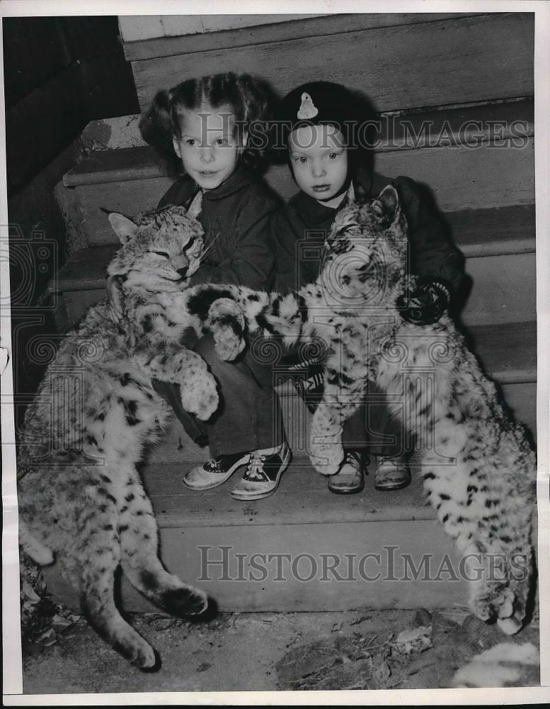 1951 Press Photo Cathryn and Paul Conaway with Bobcats, Cheyenne, Wyoming - Historic Images