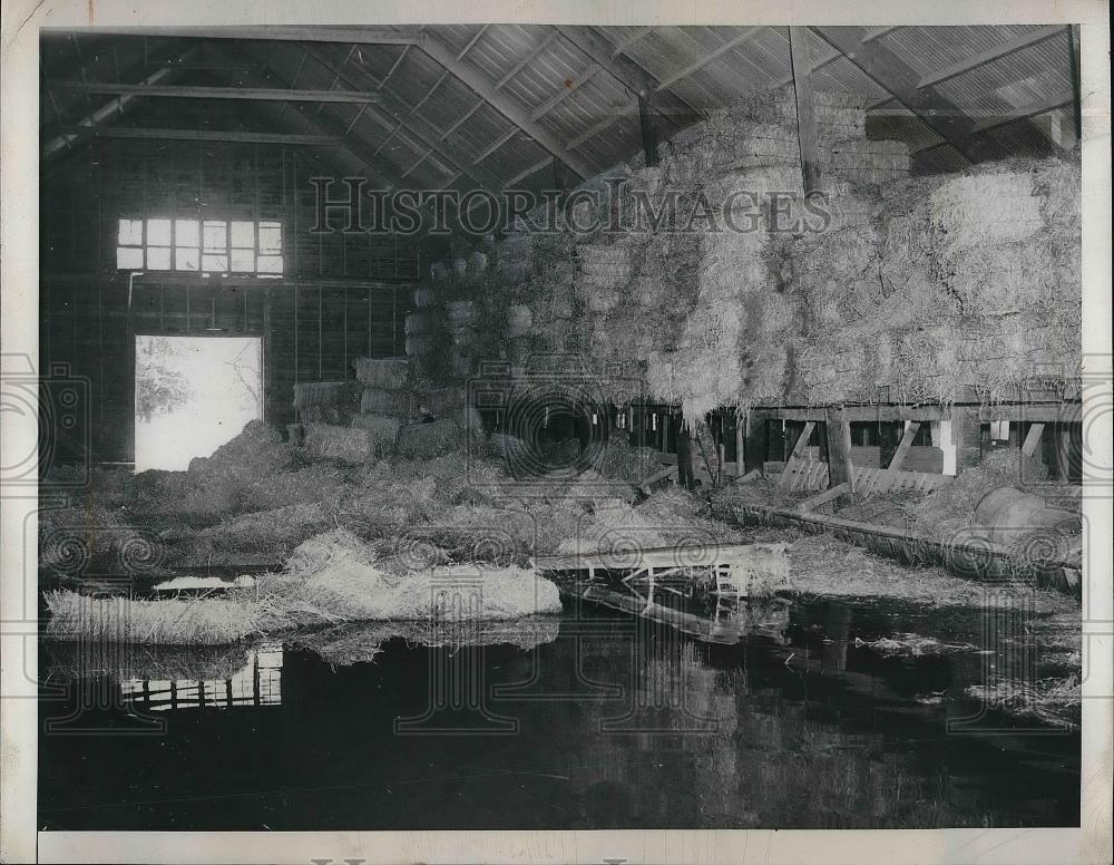 1947 Press Photo Jerry O&#39;Neill&#39;s flooded farm in Bethel, Kansas - Historic Images