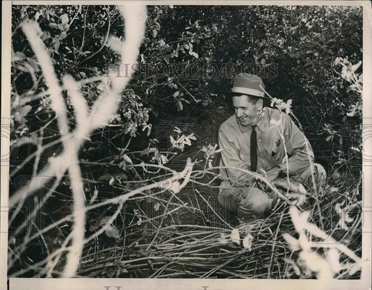 1938 Press Photo Location in California that Norma Meeks Was Held Captive - Historic Images