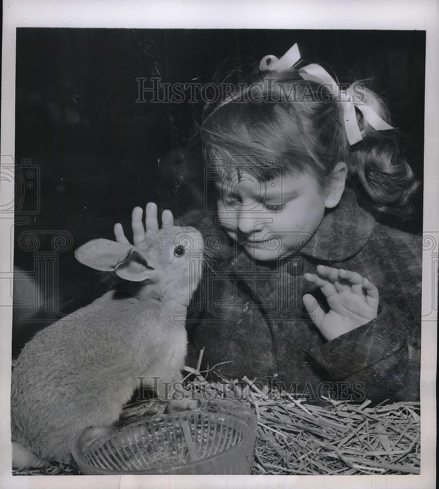 1954 Press Photo little Marie Cortes wishes to take pet shop bunny home - Historic Images