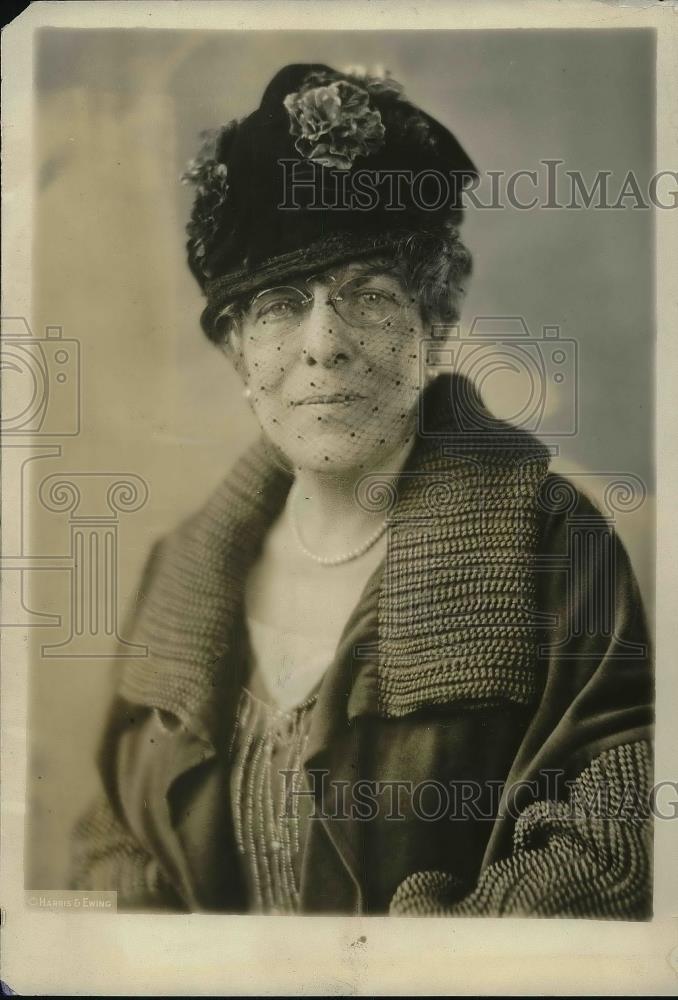 1925 Press Photo Alada Mills, widow of Brig. Gen. ALbert Mills, to wed his buddy - Historic Images