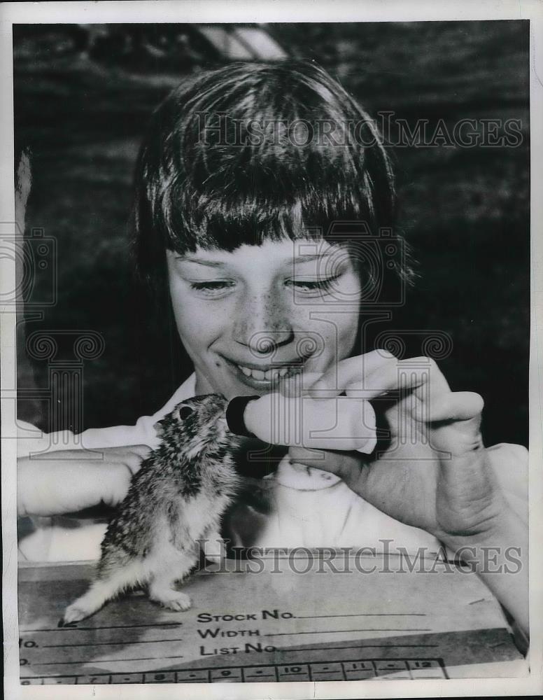 1956 Press Photo Puff, orphaned rabbit, and his foster mom Vickie Berglund - Historic Images